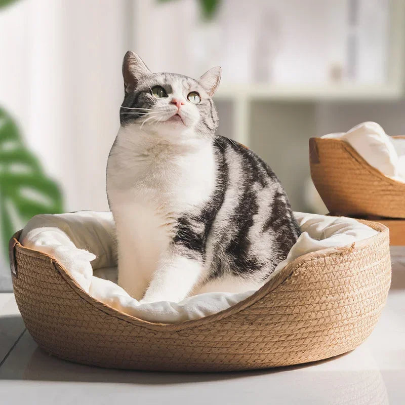 Woven Basket Pet Bed with Cushion for Cats Dogs