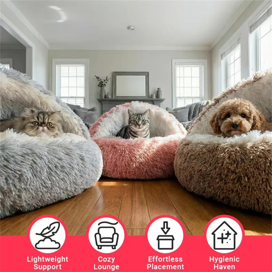 Shell-Shaped Plush Cat Bed for Small Dogs