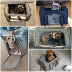 Breathable Mesh Travel Pet Carrier Shoulder Bag for Cats Dogs