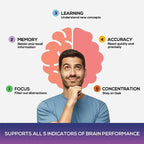 Nootropic Brain and Focus Dietary Supplement