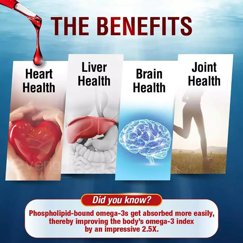 Krill Oil Phospholipid Omega-3 Astaxanthin EPA DHA Softgels