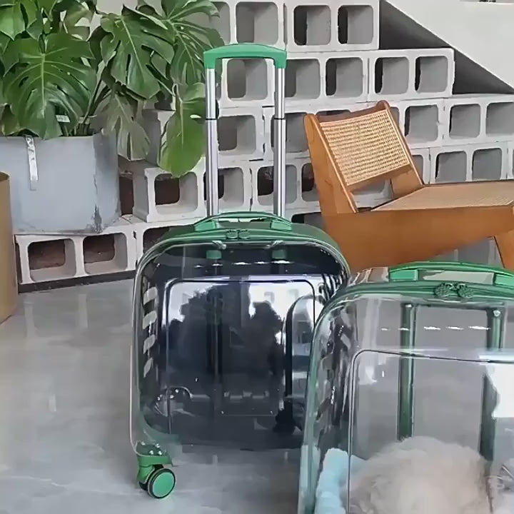 Breathable Space Capsule Rolling Pet Carrier Backpack for Cats Dogs