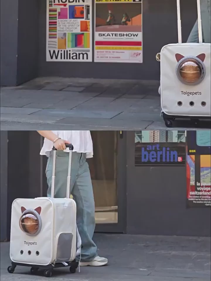 Detachable Travel Trolley Case Pet Carrier for Cats Dogs