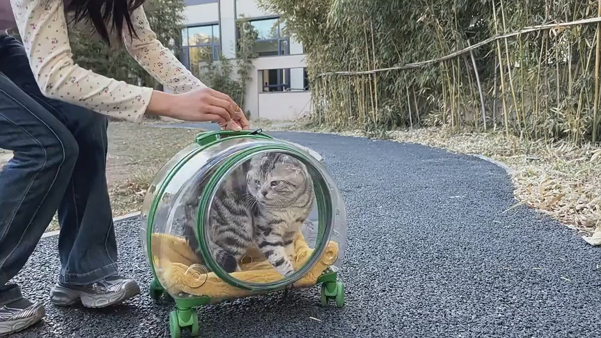 Portable Breathable Rolling Pet Carrier Suitcase for Cats Dogs