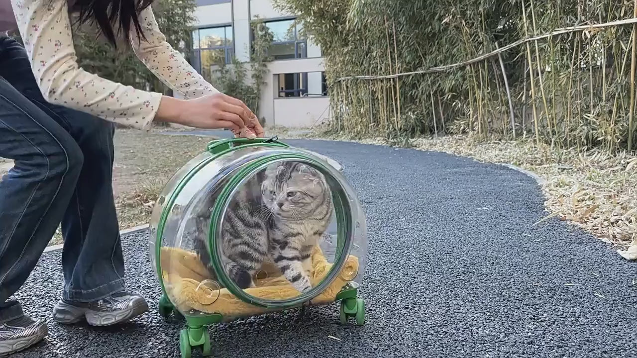 Portable Breathable Rolling Pet Carrier Suitcase for Cats Dogs