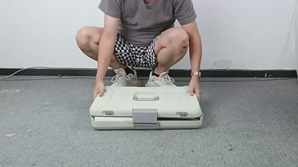 Portable Folding Transparent Travel Pet Carrier Suitcase for Cats Dogs